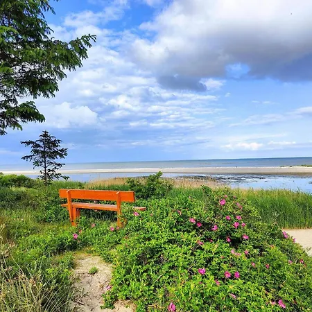 4 Person In Hals-by Traum 別荘