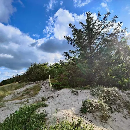 4 Person In Hals-by Traum Hals