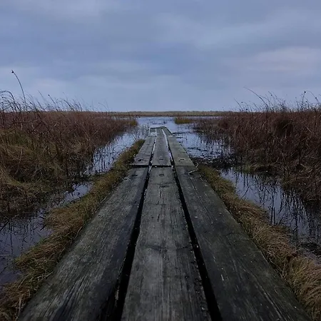 4 Person In Hals-by Traum Hals