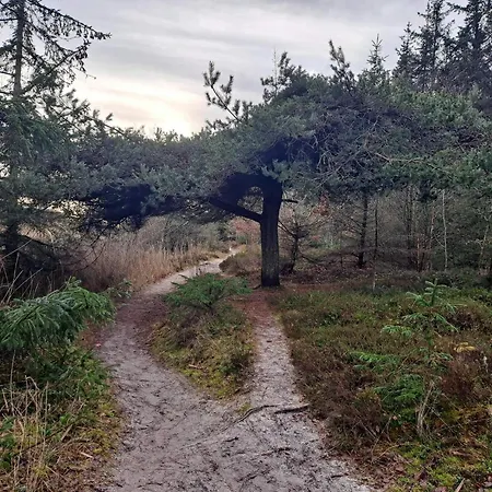 別荘 4 Person In Hals-by Traum *