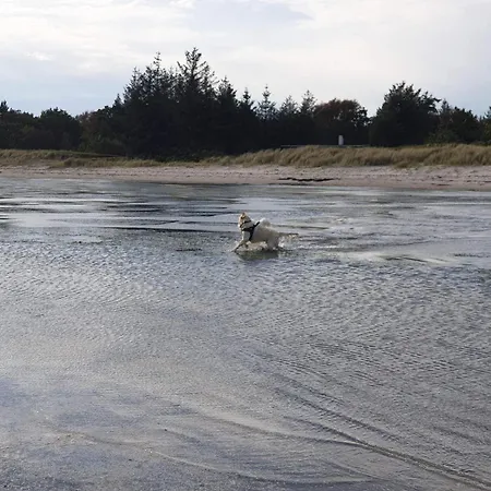 4 Person In Hals-by Traum *