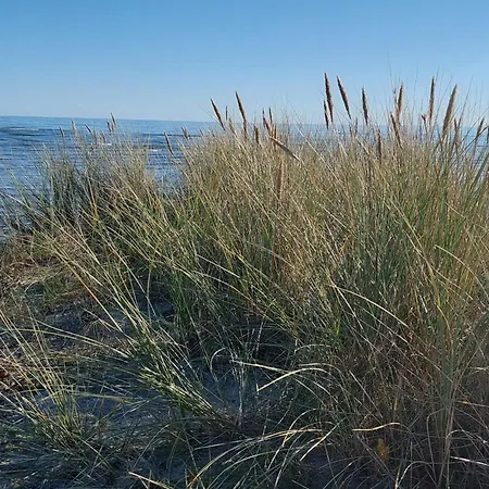 別荘 4 Person In Hals-by Traum