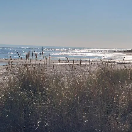 別荘 4 Person In Hals-by Traum *